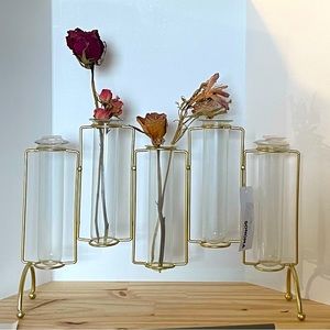 Tube Flower Vase with 5 Test Tubes,  Propagation station